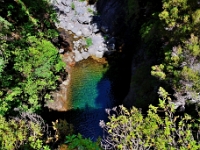 madeira 0981 : Portugal, PRT