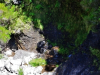 madeira 0982 : Portugal, PRT