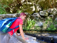 madeira 0983 : Portugal, PRT