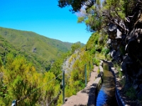 madeira 0989 : Portugal, PRT