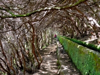 madeira 0992 : Portugal, PRT