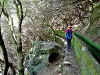 madeira 0994 : Portugal, PRT