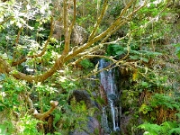 madeira 0996 : Portugal, PRT