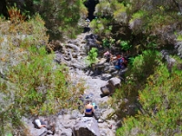 madeira 0997 : Portugal, PRT