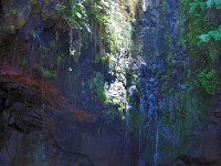 madeira 0999 : Portugal, PRT