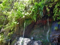 madeira 1000 : Portugal, PRT