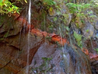 madeira 1007 : Portugal, PRT