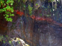 madeira 1010 : Portugal, PRT