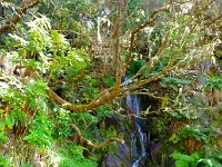 madeira 1014 : Portugal, PRT