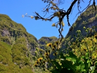 madeira 1019 : Portugal, PRT
