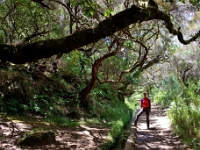 madeira 1020 : Portugal, PRT