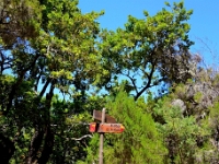 madeira 1021 : Portugal, PRT