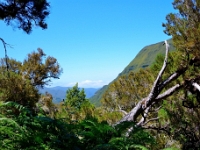 madeira 1023 : Portugal, PRT
