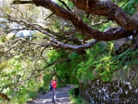 madeira 1024 : Portugal, PRT