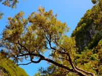 madeira 1025 : Portugal, PRT