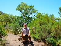madeira 1028 : Portugal, PRT