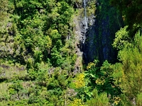 madeira 1029 : Portugal, PRT