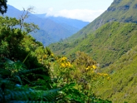 madeira 1032 : Portugal, PRT