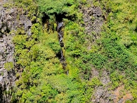 madeira 1036 : Portugal, PRT