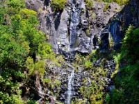 madeira 1038 : Portugal, PRT