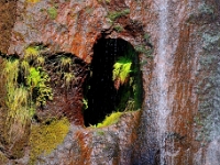madeira 1039 : Portugal, PRT