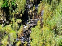 madeira 1044 : Portugal, PRT