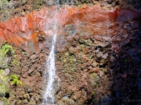 madeira 1045 : Portugal, PRT