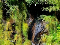 madeira 1046 : Portugal, PRT