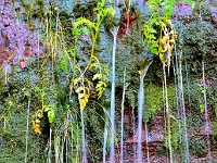 madeira 1052 : Portugal, PRT