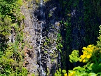 madeira 1056 : Portugal, PRT