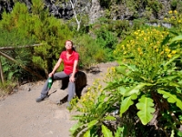 madeira 1059 : Portugal, PRT