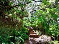 madeira 1064 : Portugal, PRT