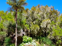 madeira 1067 : Portugal, PRT