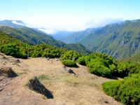 madeira 1068 : Portugal, PRT