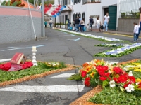 madeira 0241 : Portugal, PRT