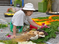 madeira 0250 : Portugal, PRT