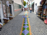 madeira 0253 : Portugal, PRT