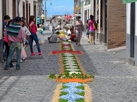 madeira 0254 : Portugal, PRT