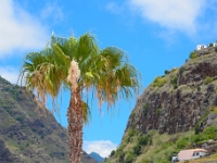 madeira 0262 : Portugal, PRT
