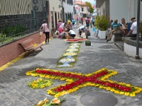 madeira 0269 : Portugal, PRT