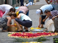 madeira 0270 : Portugal, PRT