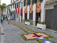 madeira 0273 : Portugal, PRT