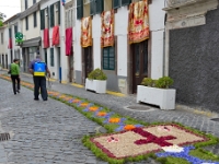 madeira 0274 : Portugal, PRT