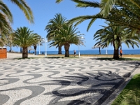 madeira 1266 : Portugal, PRT