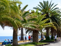madeira 1267 : Portugal, PRT