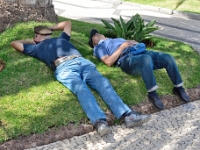 madeira 1268 : Portugal, PRT