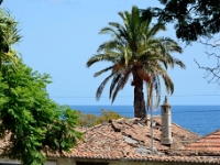 madeira 1274 : Portugal, PRT