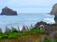 madeira 0395 : Portugal, PRT