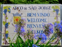 madeira 1150 : Portugal, PRT