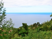 madeira 1151 : Portugal, PRT